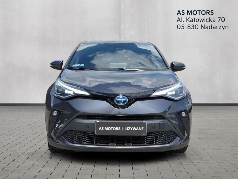 2.0 Hybrid Executive, Salon Polska, Pierwszy Właściciel - zdjęcie 8